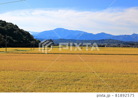 新潟県岩船国道290号線寄りの田園風景 81892575