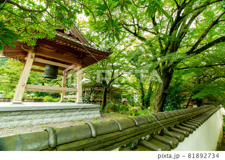 新緑の中の法泉寺 新緑の中の法泉寺 81892734