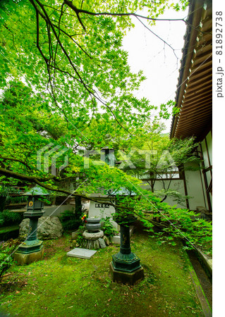 新緑の中の法泉寺 新緑の中の法泉寺 81892738
