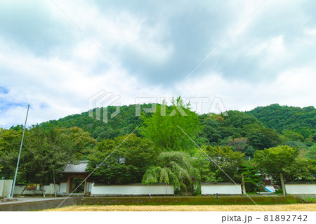 新緑の中の法泉寺 81892742