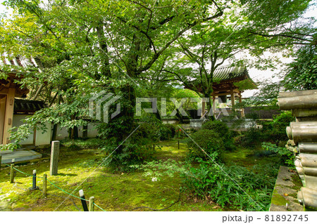 新緑の中の法泉寺 新緑の中の法泉寺 81892745