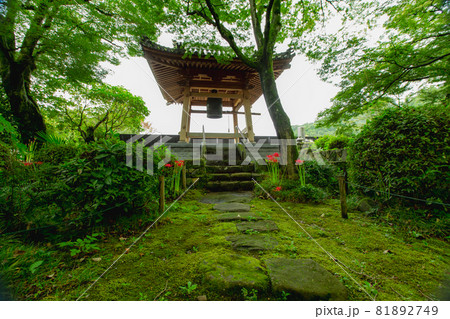 新緑の中の法泉寺 新緑の中の法泉寺 81892749