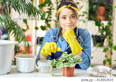 Young woman in apron and rubber gloves looking at camera, getting ready for transplanting plant into new pot at home 81892834