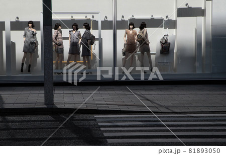 ファッションブティックのウインドー ファッションブティックのウインドー 81893050