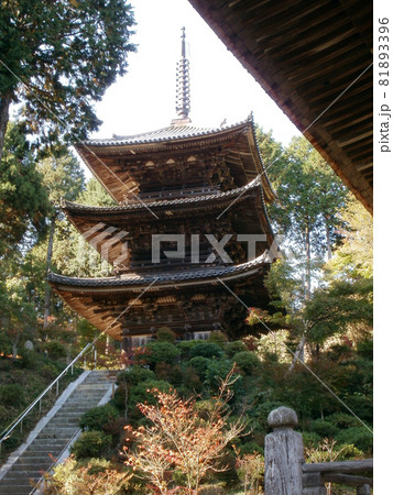 常楽寺　三重塔　滋賀県湖南市 81893396