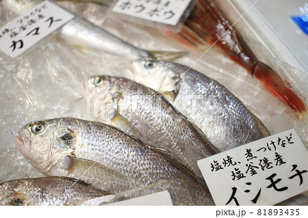キラキラ輝く塩釜港産のイシモチ 81893435