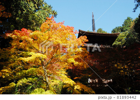 金剛輪寺 三重塔 滋賀県 金剛輪寺 三重塔 滋賀県 81893442