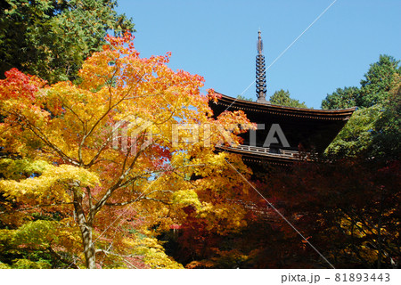 金剛輪寺　三重塔　滋賀県 81893443