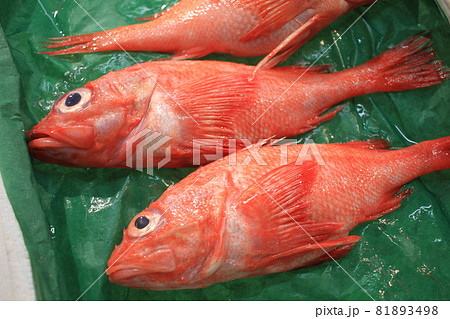 高級魚の金目鯛 高級魚の金目鯛 81893498