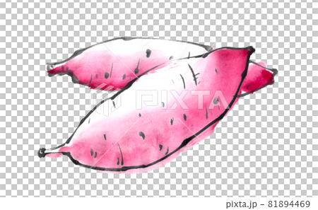 水墨画技法で描かれたさつまいも 81894469