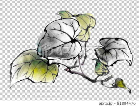 水墨画技法で描かれたさつまいもの葉 81894470