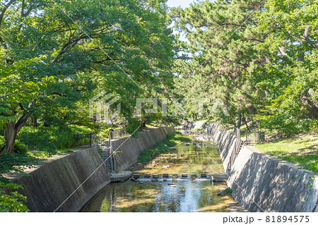 駅前風景　香櫨園駅前　夙川沿い 81894575