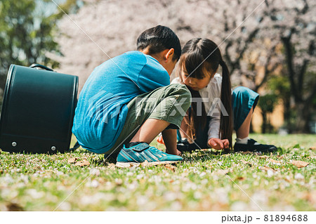 小学生新一年生の放課後 小学生新一年生の放課後 81894688