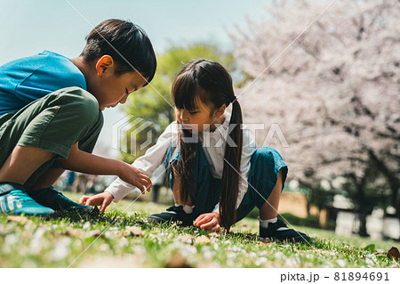 ともだち ともだち 81894691