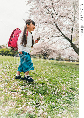 小学校新一年生 小学校新一年生 81894713