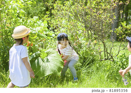 自然の中で遊ぶ子ども達 自然の中で遊ぶ子ども達 81895356