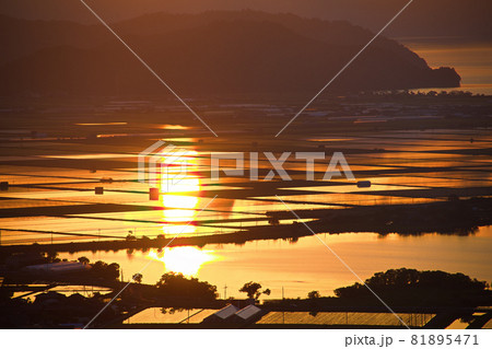 猪子山公園展望台からの夕焼けに染まる水田と夜景 81895471
