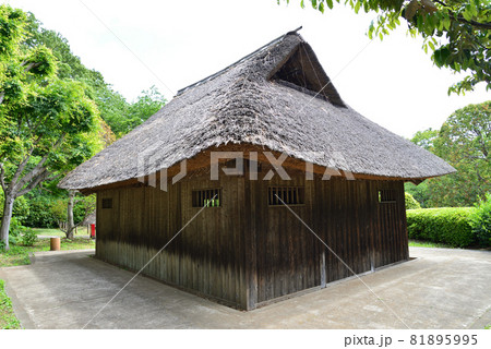 大串貝塚ふれあい公園へ行きました　＃39 81895995