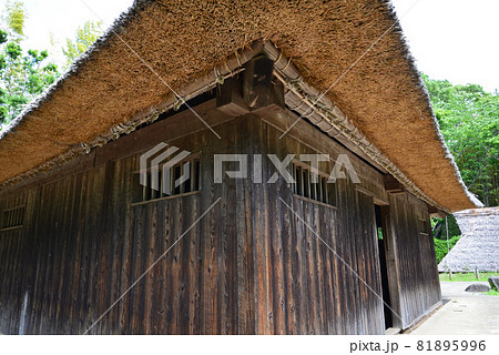 大串貝塚ふれあい公園へ行きました #38 大串貝塚ふれあい公園へ行きました #38 81895996