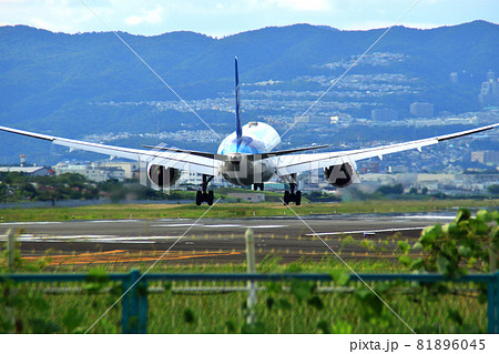 大阪国際空港　ANA　飛行機　着陸態勢　千里川尻 81896045
