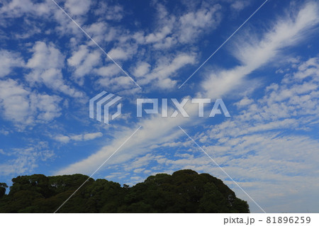 空 青空 雲 自然 空 青空 雲 自然 81896259