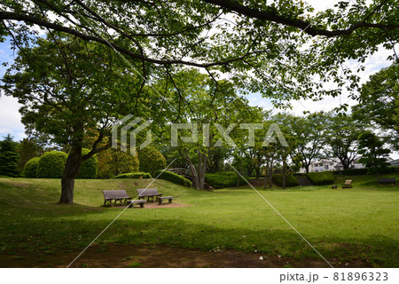 大串貝塚ふれあい公園へ行きました　＃42 81896323