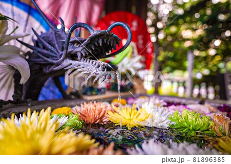 札幌諏訪神社の花手水 81896385