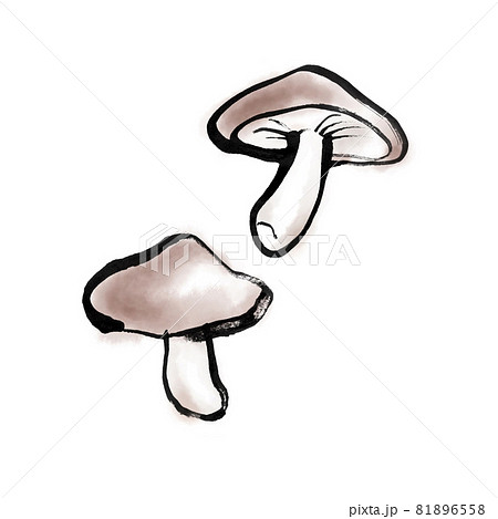 しいたけ 81896558