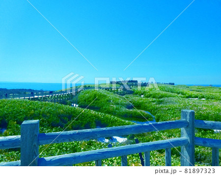 橋と草原と海 橋と草原と海 81897323