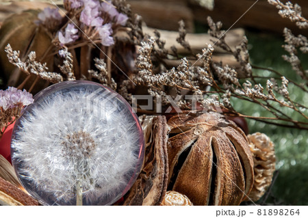 The freshness of Flower in crystal glass in the middle of dried flowers. The freshness of Flower in crystal glass in the middle of dried flowers. 81898264