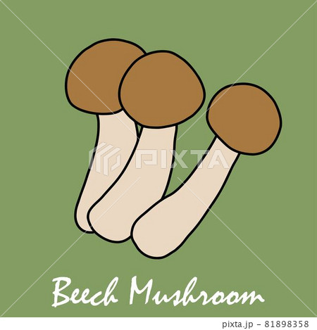 Doodle freehand sketch drawing of beech mushroom vegetable. Doodle freehand sketch drawing of beech mushroom vegetable. 81898358