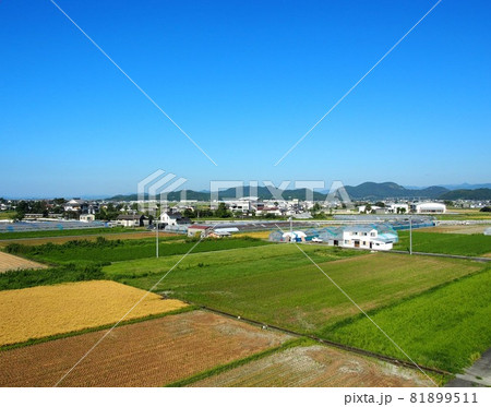 二期作の田園風景(香長平野; Aug. '21) 二期作の田園風景(香長平野; Aug. '21) 81899511
