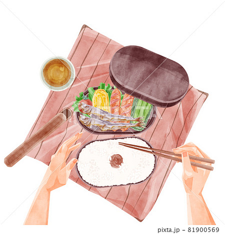 昼食にめざし手作り弁当を食べる手書き水彩風イラスト 81900569