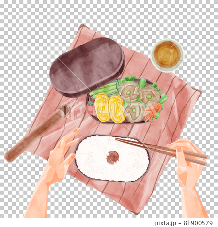 昼食に焼売手作り弁当を食べる手書き水彩風イラスト 81900579