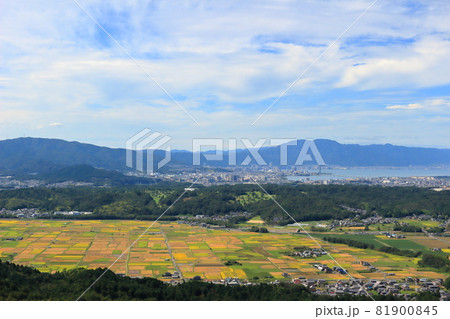 堂山からの大津市の眺め 堂山からの大津市の眺め 81900845