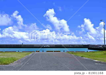 奄美大島の海岸と夏雲の風景 奄美大島の海岸と夏雲の風景 81901168