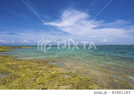 沖縄 奥武島海岸(南城市) 沖縄 奥武島海岸(南城市) 81901195