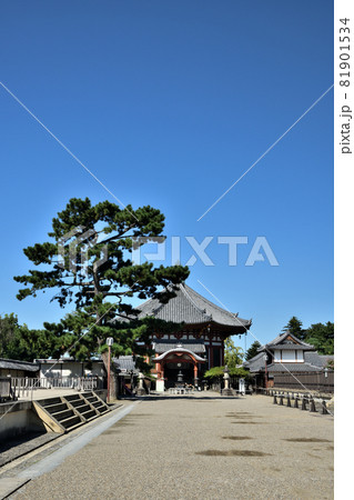 興福寺 南円堂 【奈良県奈良市】 興福寺 南円堂 【奈良県奈良市】 81901534