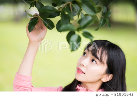 木の葉を掴む若い女性 木の葉を掴む若い女性 81901643