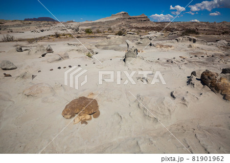 Geological formations in Ischigualasto Geological formations in Ischigualasto 81901962