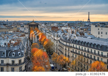 Paris France, high angle view of Eiffel Tower and city skyline with autumn foliage season 81902476