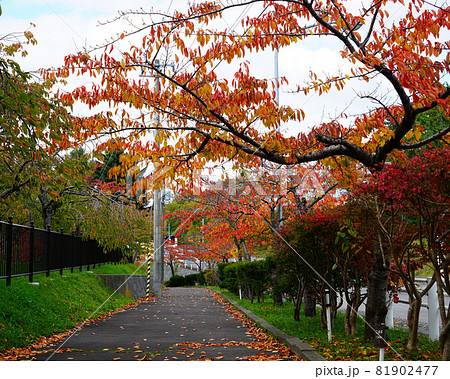 北海道　函館　トラピスチヌ修道院 81902477