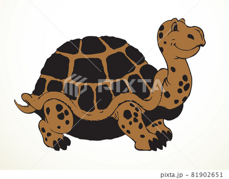 The big turtle. Vector drawing The big turtle. Vector drawing 81902651