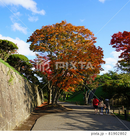 北海道 函館 五稜郭 北海道 函館 五稜郭 81902802