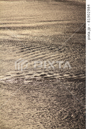 背景素材（夕日を浴びて金色に輝く境水道の海面の波紋） 81902984