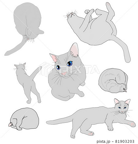 猫ポーズ集のイラスト素材