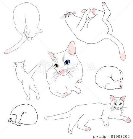 猫ポーズ集のイラスト素材