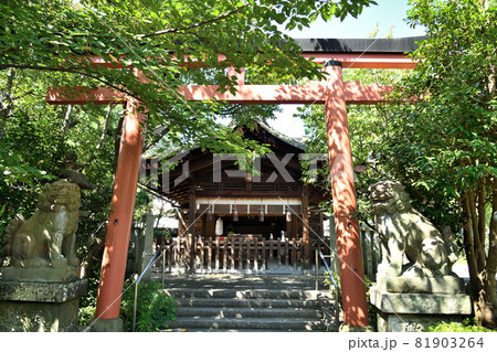 漢國神社 【奈良県奈良市】 漢國神社 【奈良県奈良市】 81903264