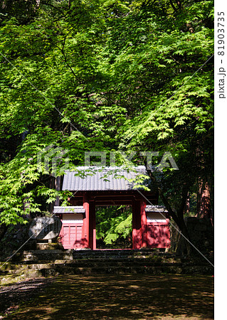 新緑溢れる百済寺2021 81903735