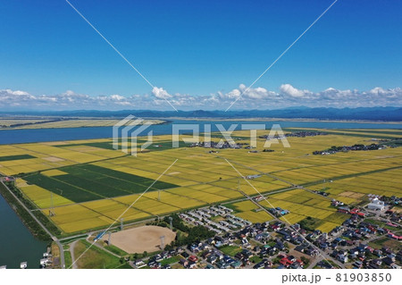 防潮水門と風景 防潮水門と風景 81903850